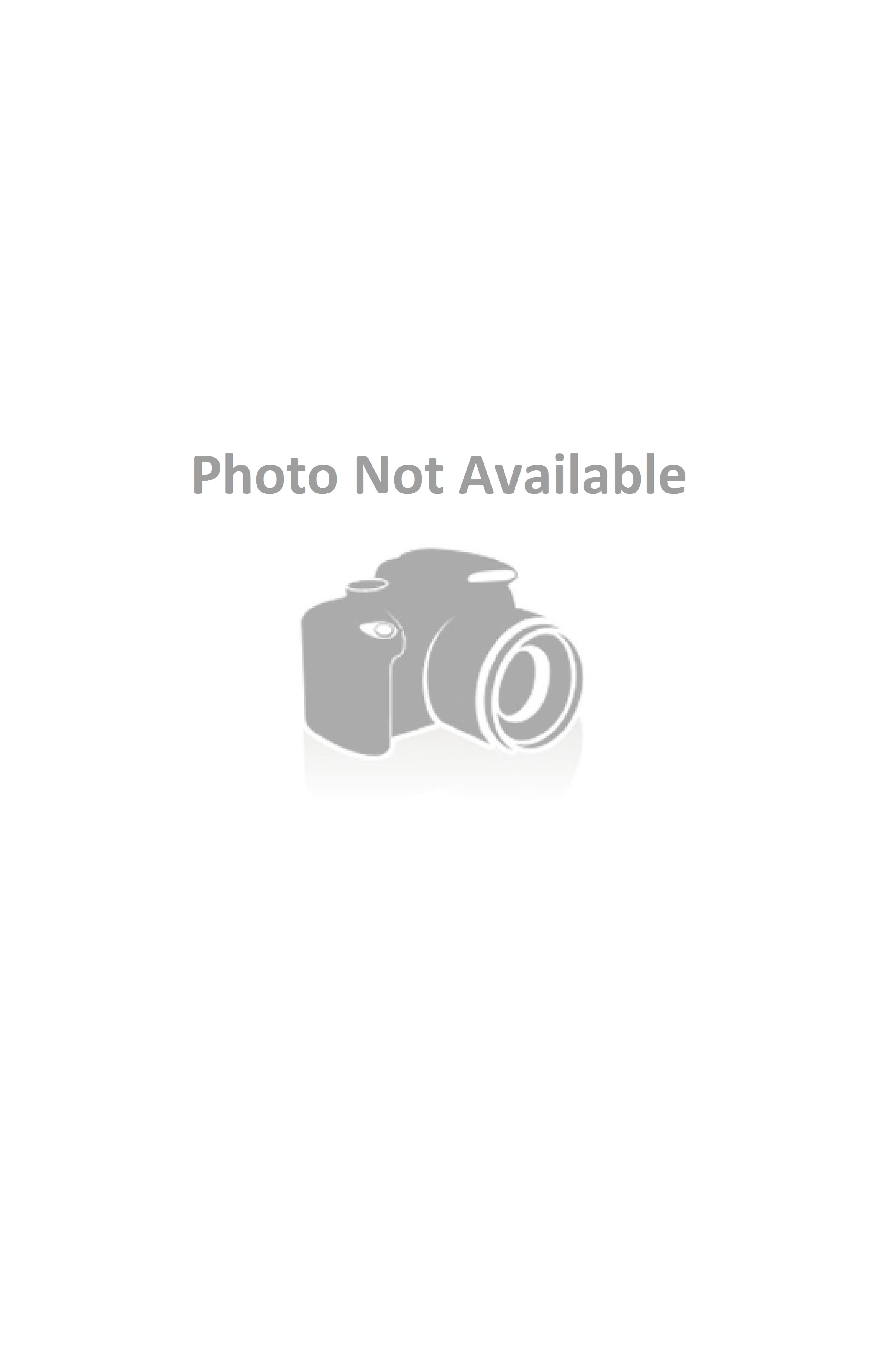 cheap womens shorts online